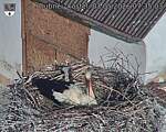 Capi_Dubne_20260503_073503.jpg