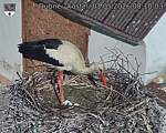 Capi_Dubne_20260503_081003.jpg