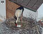 Capi_Dubne_20260503_083502.jpg