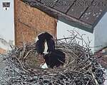 Capi_Dubne_20260503_104002.jpg