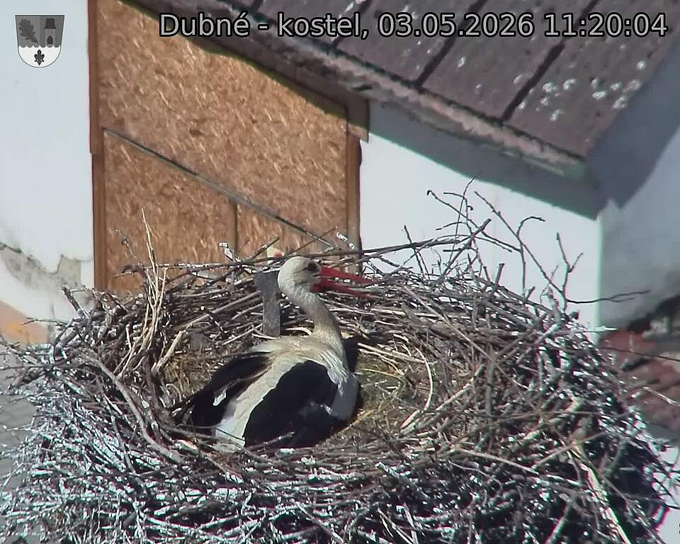 preload