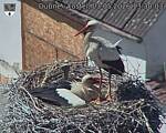 Capi_Dubne_20260503_133003.jpg