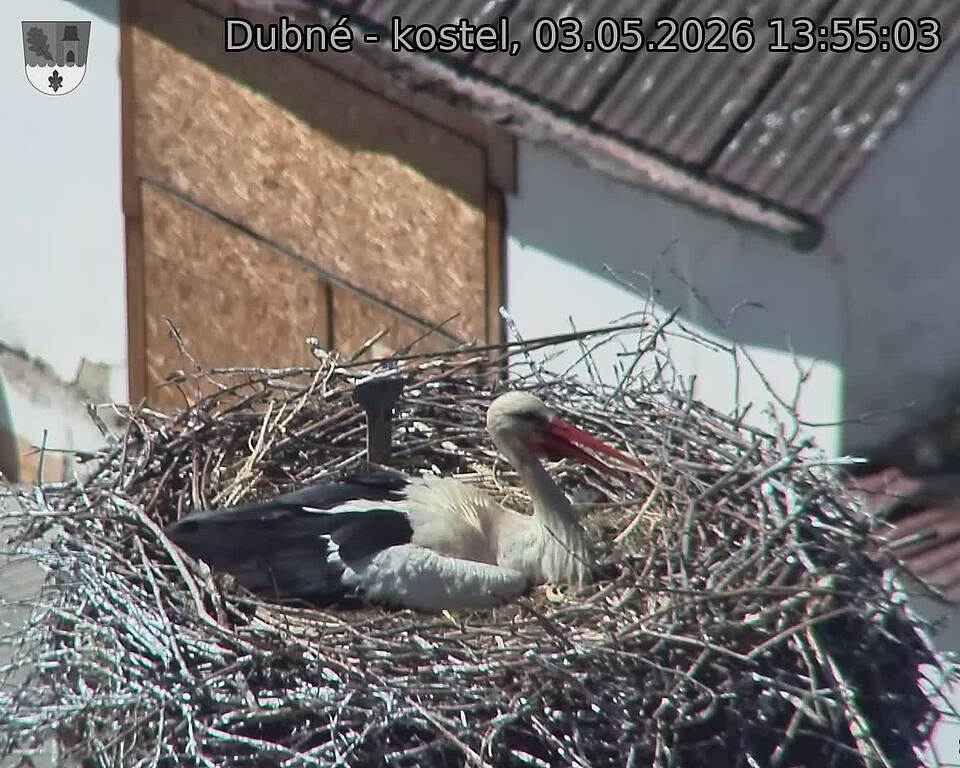 preload