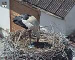 Capi_Dubne_20260503_150502.jpg