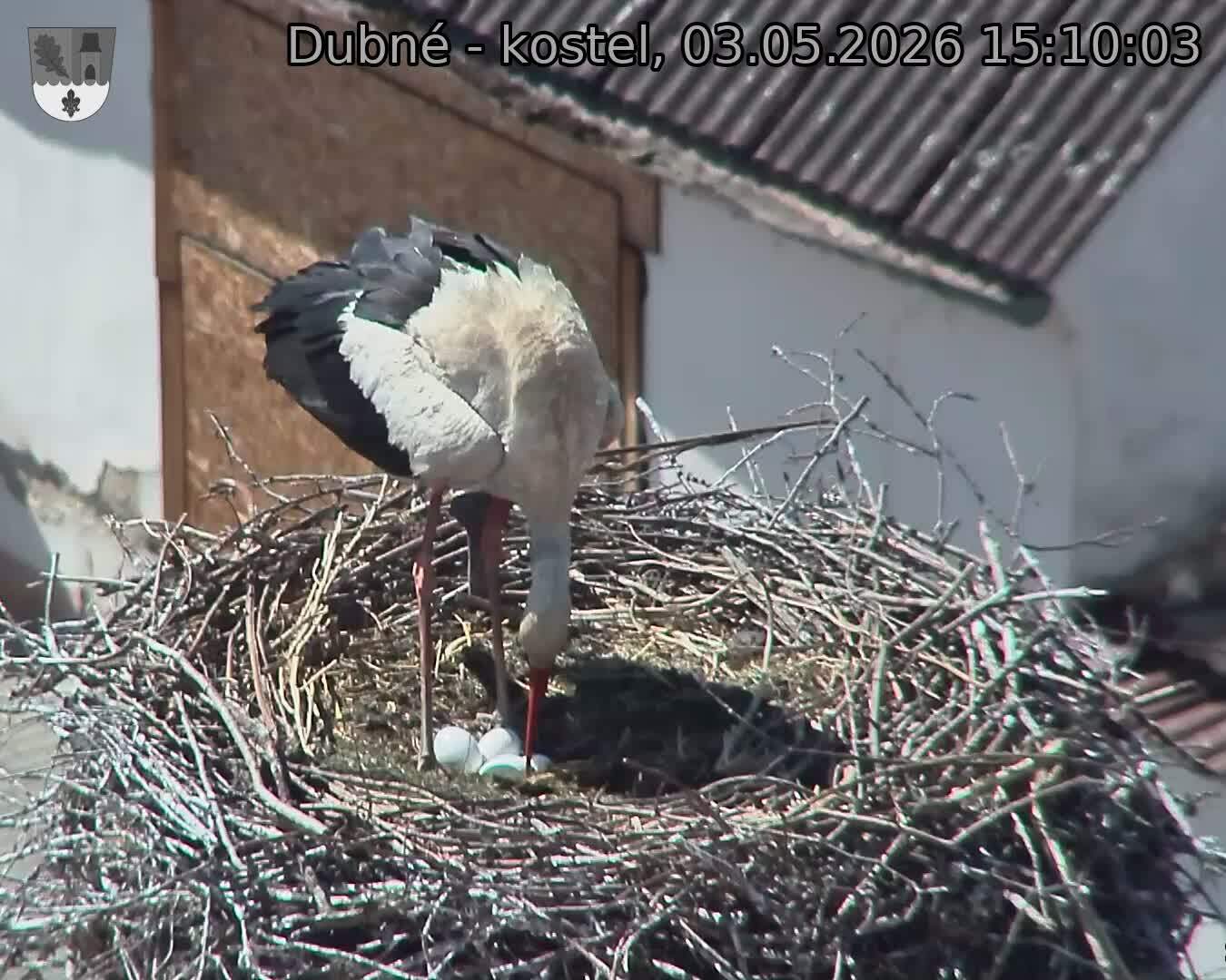 preload