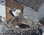 Capi_Dubne_20260503_151003.jpg