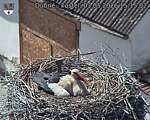 Capi_Dubne_20260503_151502.jpg