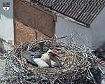 Capi_Dubne_20260503_152003.jpg