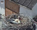 Capi_Dubne_20260503_153002.jpg
