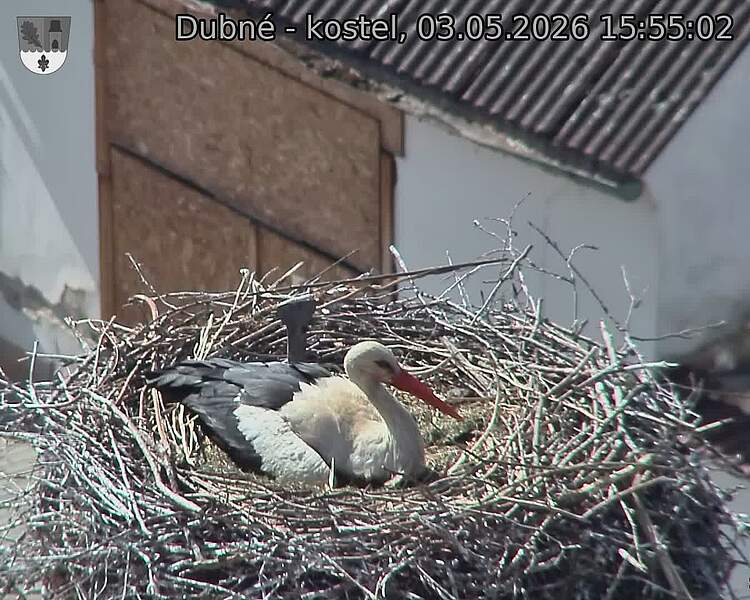 preload