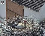 Capi_Dubne_20260503_163002.jpg