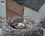 Capi_Dubne_20260503_163502.jpg