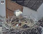 Capi_Dubne_20260503_164004.jpg