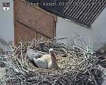 Capi_Dubne_20260503_164503.jpg
