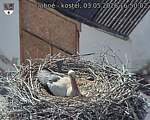 Capi_Dubne_20260503_165002.jpg