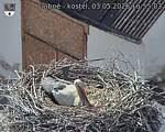 Capi_Dubne_20260503_165503.jpg