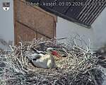Capi_Dubne_20260503_170002.jpg