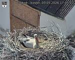 Capi_Dubne_20260503_170503.jpg