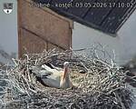 Capi_Dubne_20260503_171002.jpg