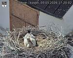 Capi_Dubne_20260503_172002.jpg