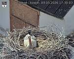Capi_Dubne_20260503_173003.jpg