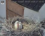 Capi_Dubne_20260503_173502.jpg