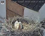 Capi_Dubne_20260503_174503.jpg
