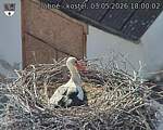Capi_Dubne_20260503_180002.jpg