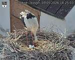 Capi_Dubne_20260503_182503.jpg