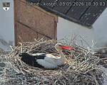 Capi_Dubne_20260503_183003.jpg