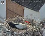 Capi_Dubne_20260503_184003.jpg