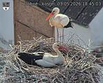 Capi_Dubne_20260503_184503.jpg