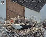 Capi_Dubne_20260503_190003.jpg
