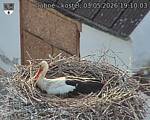 Capi_Dubne_20260503_191003.jpg