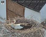 Capi_Dubne_20260503_192003.jpg