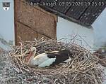 Capi_Dubne_20260503_192503.jpg