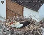 Capi_Dubne_20260503_193002.jpg