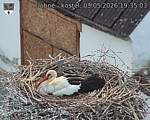 Capi_Dubne_20260503_193503.jpg