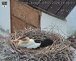 Capi_Dubne_20260503_194003.jpg