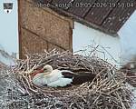 Capi_Dubne_20260503_195004.jpg