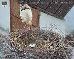 Capi_Dubne_20260503_195503.jpg