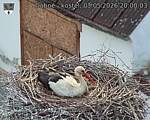 Capi_Dubne_20260503_200003.jpg