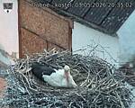 Capi_Dubne_20260503_203502.jpg