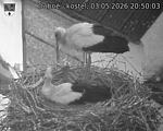 Capi_Dubne_20260503_205003.jpg