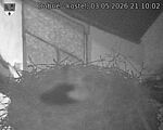 Capi_Dubne_20260503_211002.jpg