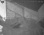 Capi_Dubne_20260503_212002.jpg