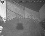 Capi_Dubne_20260503_212503.jpg