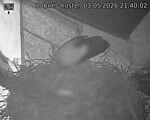 Capi_Dubne_20260503_214002.jpg