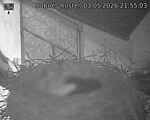 Capi_Dubne_20260503_215503.jpg