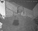 Capi_Dubne_20260503_223003.jpg